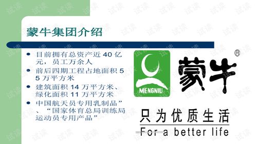 蒙牛廣告策劃案商業計劃書——精準營銷，品牌升級