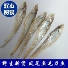 丹江口市博奧水產品有限責任公司 優質水產品供應商，專注凍銀魚與凍斑點叉尾鮰